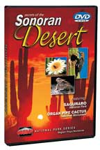 Secrets of the Sonoran Desert - Travel Video.