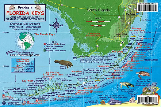 Florida Keys Reef Creatures Road and Recreation Map, Florida, America.