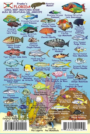 Florida Mini Reef Creatures Road and Recreation Map, Florida, America.