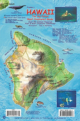 Hawaii, The Big Island, Reef Creatures Guide Card, America.