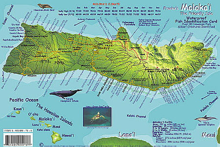 Molokai Reef Creatures Guide, Hawaii, America.