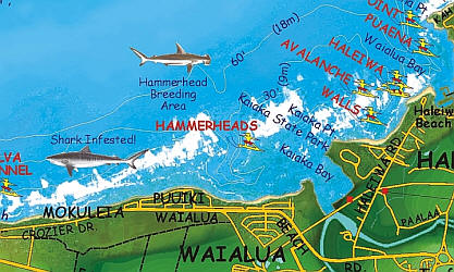 Oahu North Shore Surfing Poster Recreation Map, Hawaii, America.