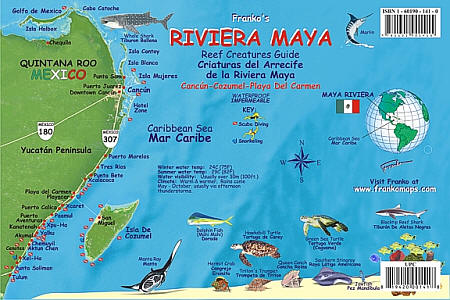 Riviera Maya Reef Creatures Road and Recreation Map, Mexico.