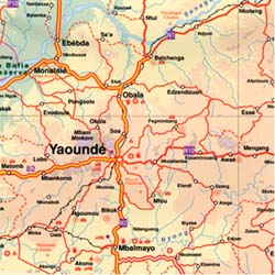 Cameroon and Gabon, Road and Physical Travel Reference Map.