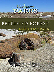 Petrified Forest National ParkArizona - Travel Video.