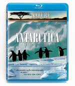 Antarctica - Travel Video - Blu-ray DVD.