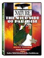 The Wild Side of Paradise - Nature Video - DVD.