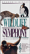 Wildlife Symphony - Travel Video.