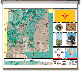 New Mexico State Thematic Primary "Classroom" K-2 WALL Map with Backboard.