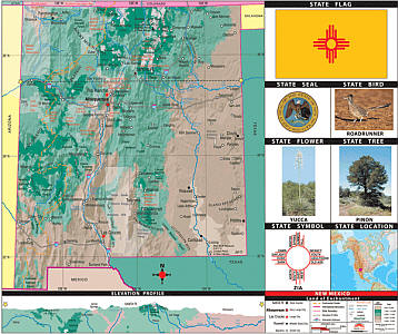 New Mexico Thematic Primary "Classroom" K-2 WALL Map.