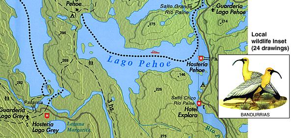 Torres Del Paine, Road and Shaded Relief Topographical Map, Chile..