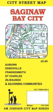 Saginaw and Bay City Street Map, Michigan, America.