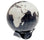 travel the world