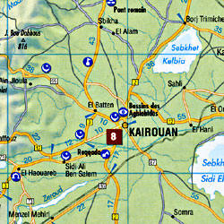 TUNIS Road and Tourist Map.