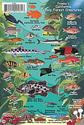 California Kelp Forest Creatures, Road and Recreation Map, California, America.