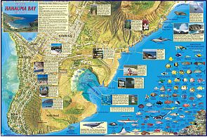 Hanauma Bay Guide Map, Hawaii, America.