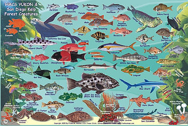 HMCS Yukon Wreck & Fish Identifier, Road and Recreation Map, California, America.