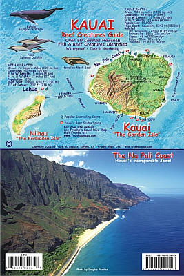 Kauai Reef Creatures Guide (Fish Card) Road and Tourist Map, America. 