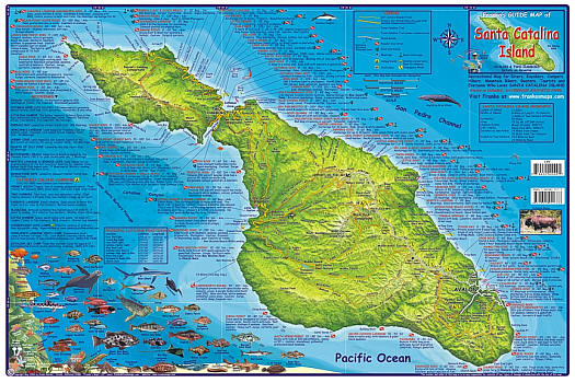 Santa Catalina Island Road and Recreation Map, California, America.