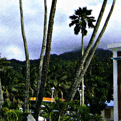 Cook Islands, Road and Physical Travel Reference Map, South Pacific.