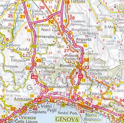 Alpine Countries Road and Shaded Relief Tourist Map.