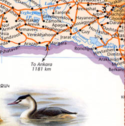 Birds of Armenia, Road and Tourist Map.