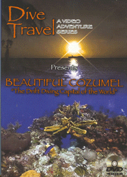 Dive Travel: Beautiful Cozumel with Divemaster Gary Knapp - Travel Video.