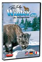 Winter In Yellowstone - Travel Video - DVD.