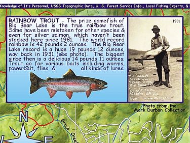 Big Bear Lake (Fishing), Road and Recreation Map, California, America.