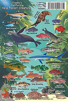 California Kelp Forest Creatures, Road and Recreation Map, California, America.