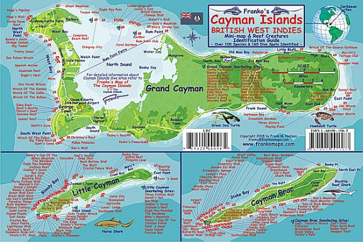 Cayman Islands Mini Map and Reef Creatures Guide Card, West Indies.