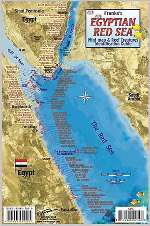 Egyptian Red Sea Fish Card,Tourist Map.