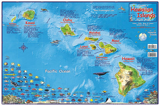Hawaiian Islands Illustrated Road and Tourist Guide Map, America.