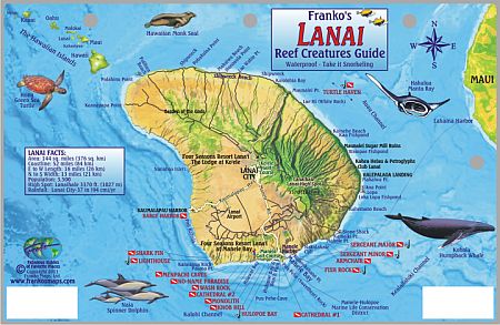 Lanai Creatures Guide Road and Tourist Map, America.  Size 6"x9".  Franko maps edition.  Laminated.