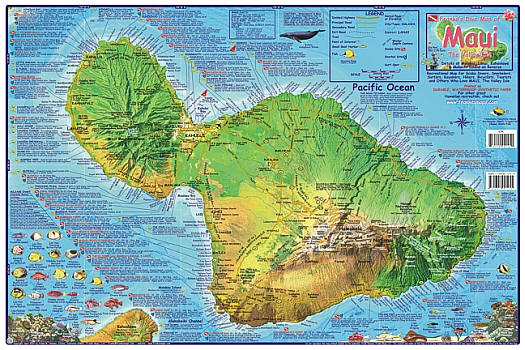 Maui (Diving, Surfing, Hiking), Road and Recreation Map, Hawaii, America.