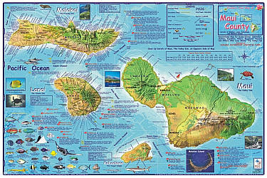 Maui (Diving, Surfing, Hiking), Road and Recreation Map, Hawaii, America.