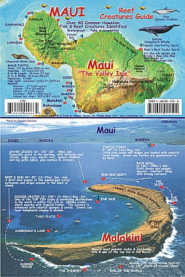 Maui Reef Creatures Guide, Road and Recreation Map, Hawaii, America.