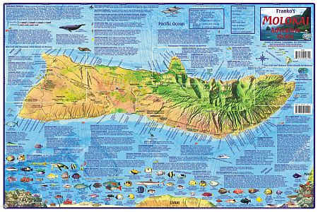 Molokai Road and Recreation Guide Map, Hawaii, America.