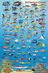 Saipan Fish Card Map.