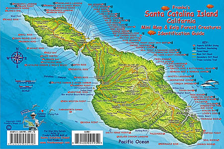 Santa Catalina Island Fish Card Road and Recreation Map, California, America.