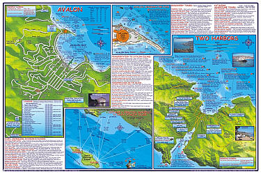 Santa Catalina Island Road and Recreation Map, California, America.
