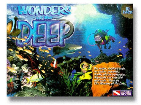 Wonders Of The Deep - Travel Video.