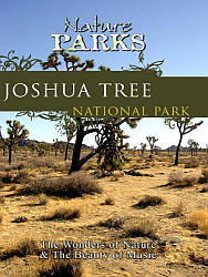 Joshua Tree National Park California - Travel Video.