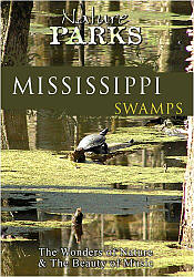 Mississippi Swamps - Travel Video.