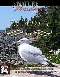 Acadia Maine Travel Video.