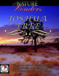 Joshua Tree National Park California - Travel Video.