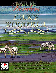 Lake Bogoria Travel Video.