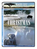 Christmas in Yellowstone - Nature Video - DVD.