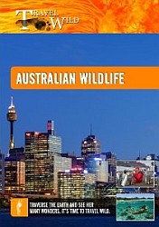 Australian Wildlife - Travel Video.