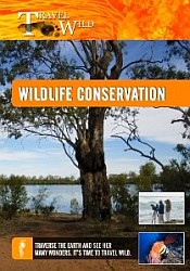 Wildlife Conservation - Travel Video.